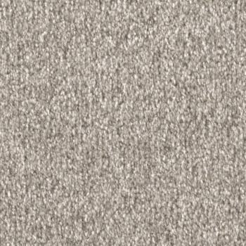 Draufsicht auf Vorwerk Celina 8L51 chips Teppichboden mit Preisschild 79,95 €/m²